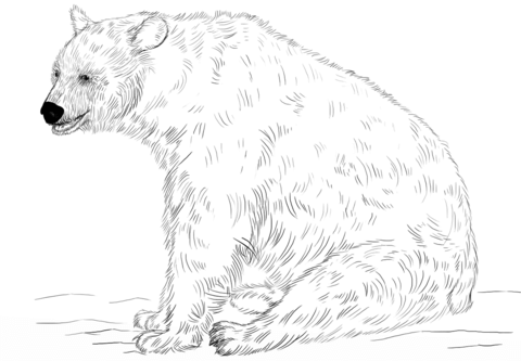 Black Bear Sitting Coloring Page